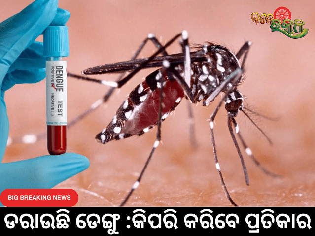 Dengue Treatment