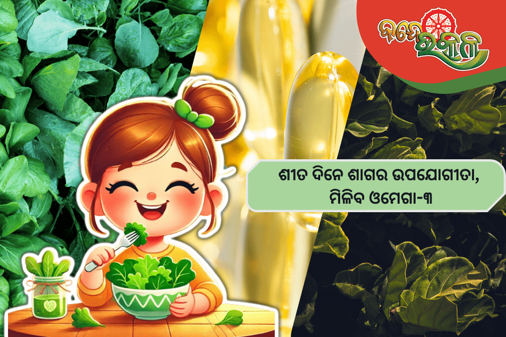 ଶୀତଦିନେ ଶାଗର ଉପଯୋଗୀତା, ମିଳିବ ଓମେଗା-୩