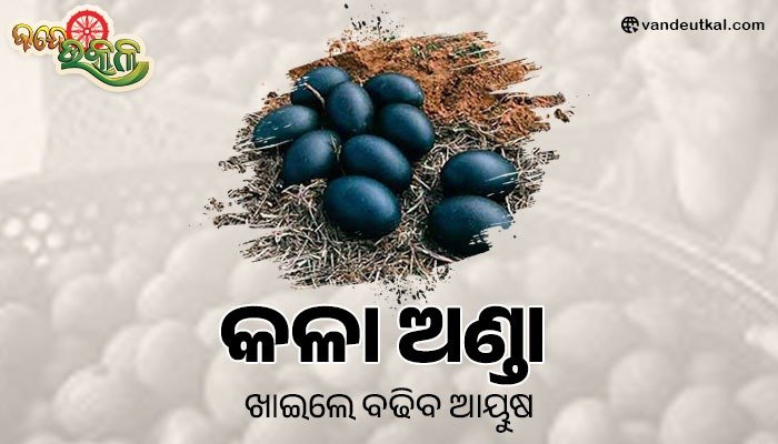 କଳା ଅଣ୍ଡା ଖାଇଲେ ବଢିବ ଆୟୁଷ