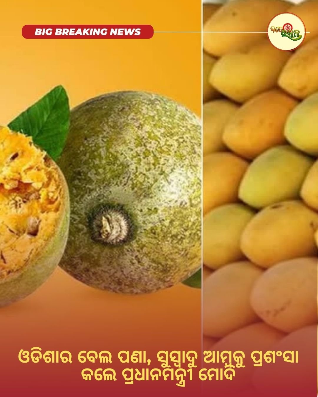 ଓଡିଶାର ବେଲ ପଣା, ସୁସ୍ୱାଦୁ ଆମ୍ବକୁ ପ୍ରଶଂସା କଲେ ପ୍ରଧାନମନ୍ତ୍ରୀ ମୋଦି