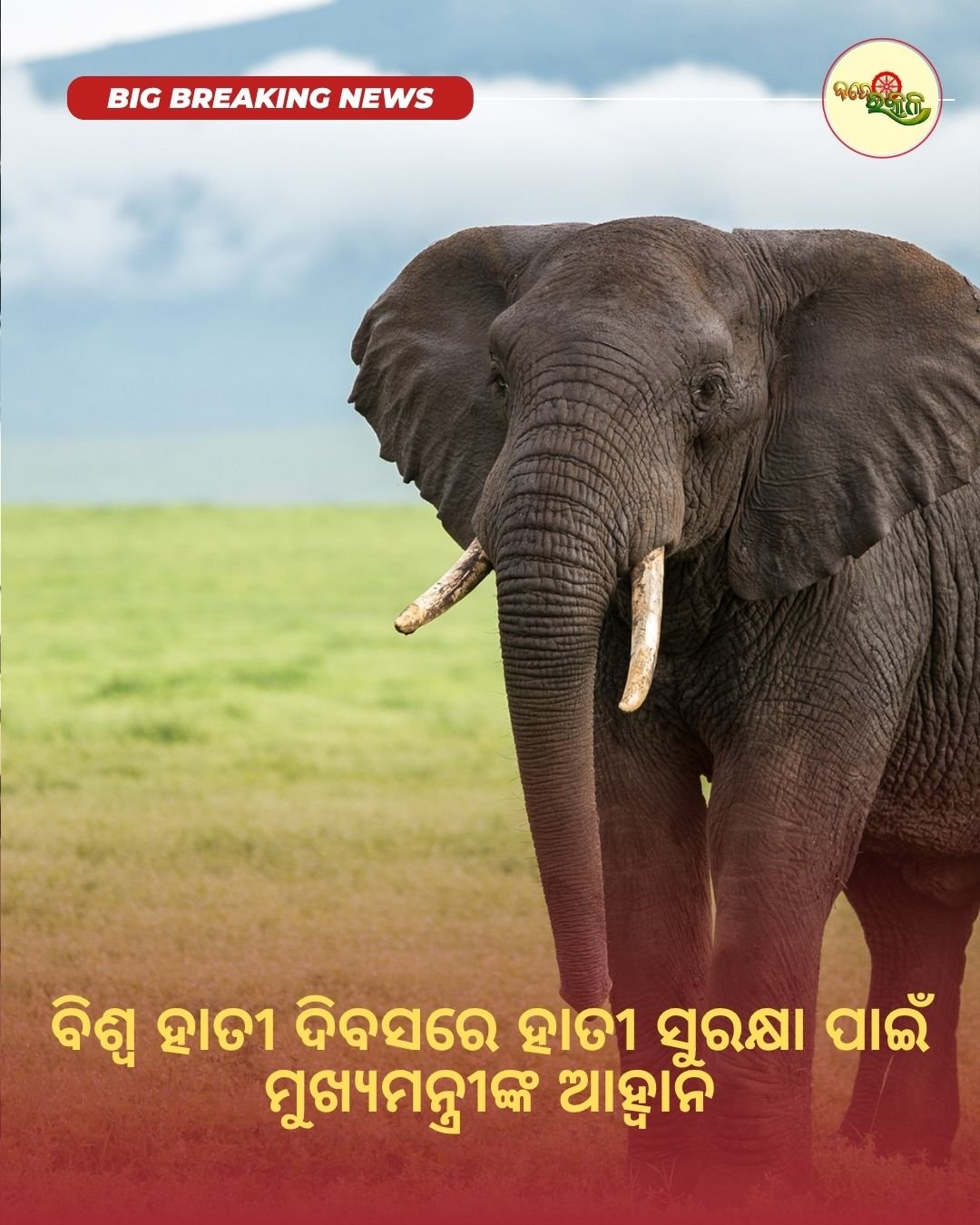 ବିଶ୍ୱ ହାତୀ ଦିବସରେ ହାତୀ ସୁରକ୍ଷା ପାଇଁ ମୁଖ୍ୟମନ୍ତ୍ରୀଙ୍କ ଆହ୍ୱାନ
